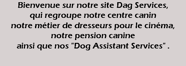 Bienvenue sur notre site Dag Services, qui regroupe notre centre canin notre métier de dresseurs pour le cinéma, notre pension canine ainsi que nos "Dog Assistant Services" . 